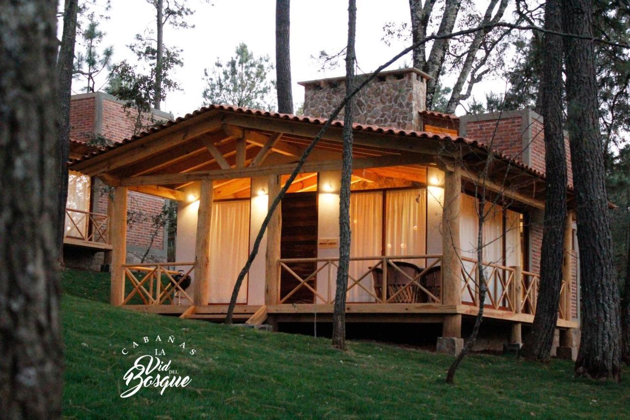 Hôtel Cabanas La Vid Del Bosque à Tapalpa Extérieur photo